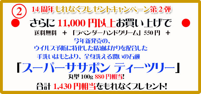 オーガニック化粧品手作り石鹸アンティアン2010今月のキャンペーンcopy2