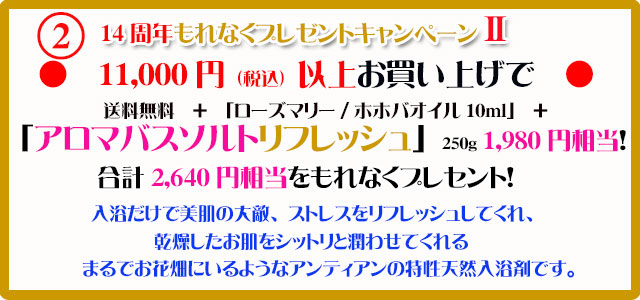 手作り石鹸アンティアン2011キャンペーン2