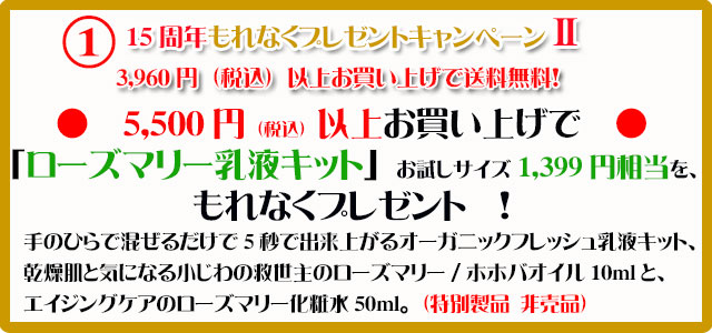 手作り石鹸アンティアン2111キャンペーン1