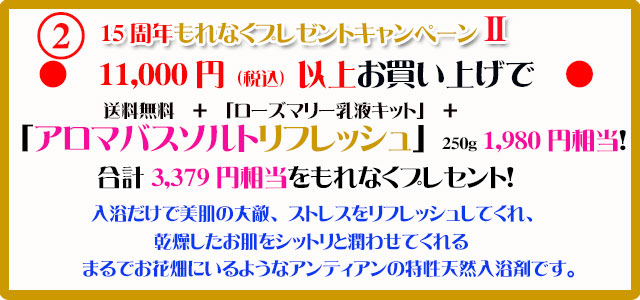 手作り石鹸アンティアン2111キャンペーン2