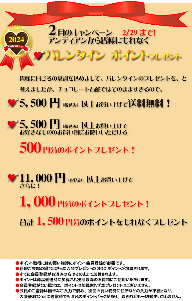 オーガニック化粧品手作り無添加石鹸アンティアン2024年2月のプレゼントキャンペーンtop