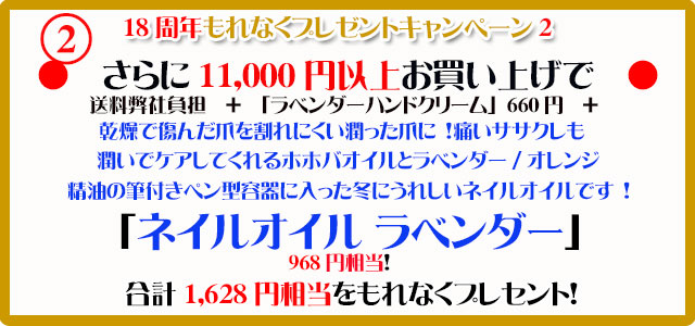 オーガニック化粧品手作り石鹸アンティアン2410今月のキャンペーンcopy2
