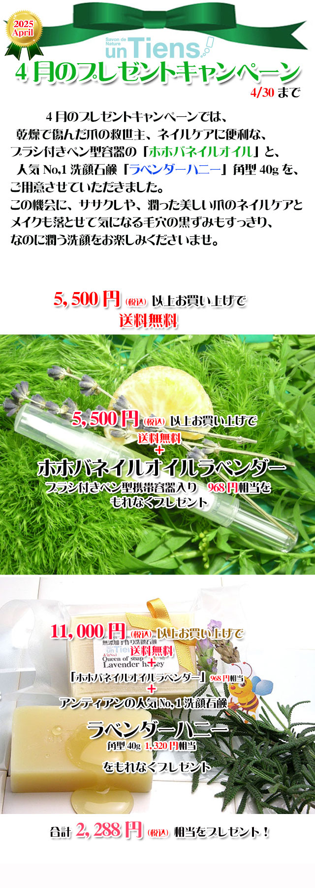 オーガニック化粧品手作り石鹸アンティアン2504今月のキャンペーンtop