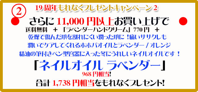 オーガニック化粧品手作り石鹸アンティアン2510今月のキャンペーンcopy2