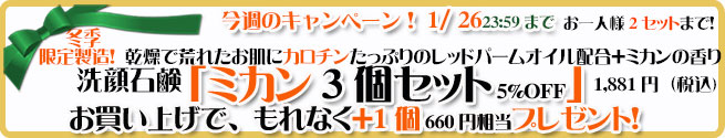 オーガニック化粧品手作り無添加石鹸アンティアン260120キャンペーンバナー