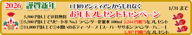 手作り石鹸アンティア1月のプレゼントキャンペーン
