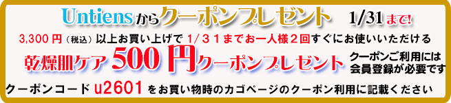 オーガニック化粧品手作り無添加石鹸アンティアン2601乾燥肌500円クーポンバナー
