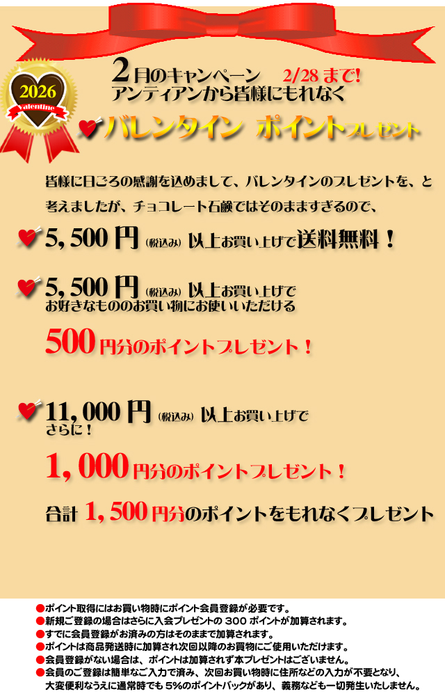 オーガニック化粧品手作り無添加石鹸アンティアン2026年2月のプレゼントキャンペーンtop