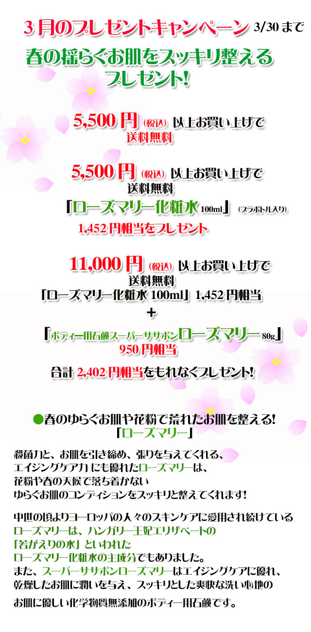 手作り石鹸アンティアン2603キャンペーンtop