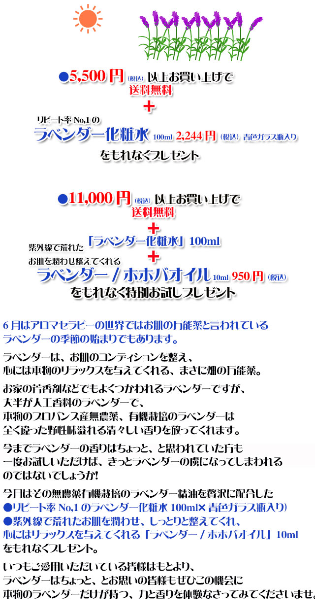 オーガニック化粧品手作り石鹸アンティアン2606今月のキャンペーンcopy