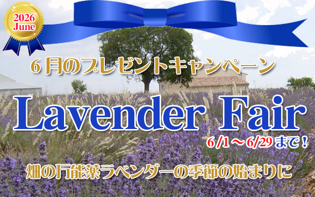 オーガニック化粧品手作り石鹸アンティアン2606今月のキャンペーンtop