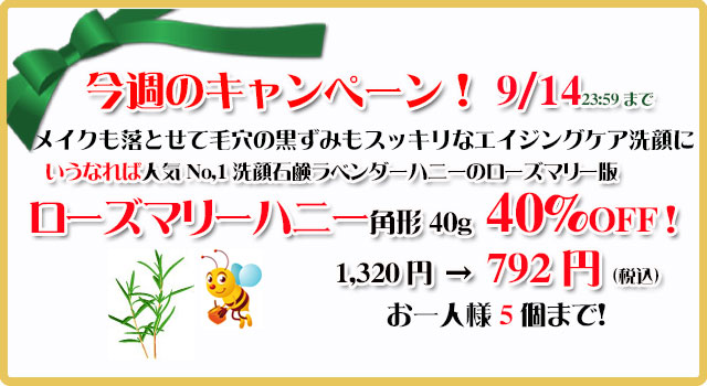 オーガニック化粧品手作り無添加石鹸アンティアン260908キャンペーンtop