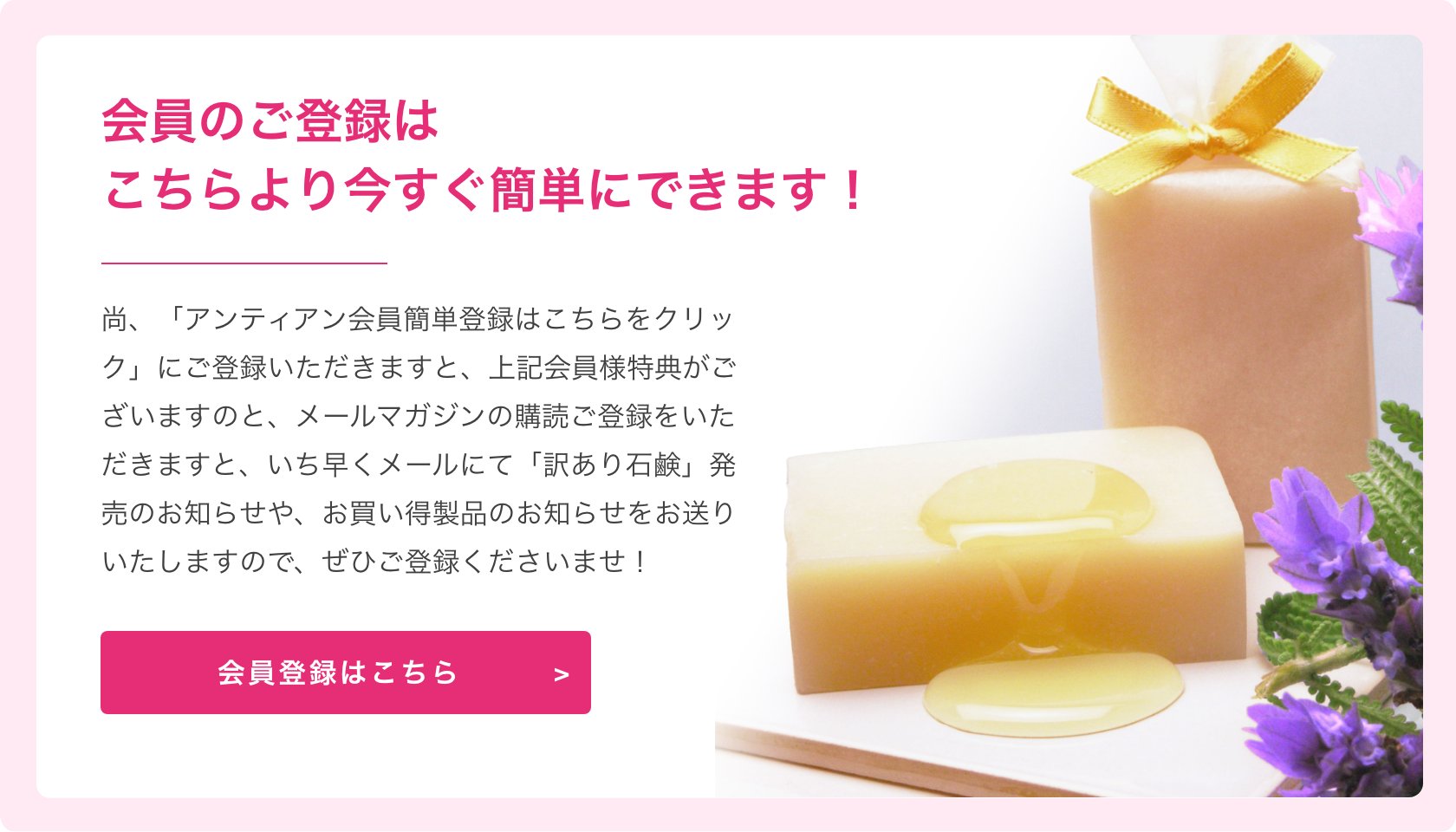 簡単会員登録でお買い物毎に5%ポイントバック