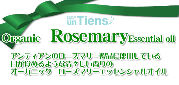 手作り石鹸アンティアン　オーガニックローズマリー精油　top
