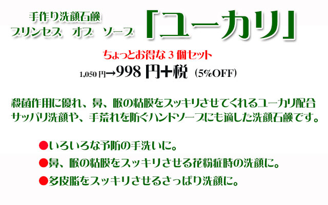 インフルエンザ予防の手洗いにも 花粉症のスッキリ洗顔にも ユーカリ お得な3個セット インフルエンザ予防の手洗いにも 花粉症のスッキリ洗顔にも ユーカリ お得な3個セット