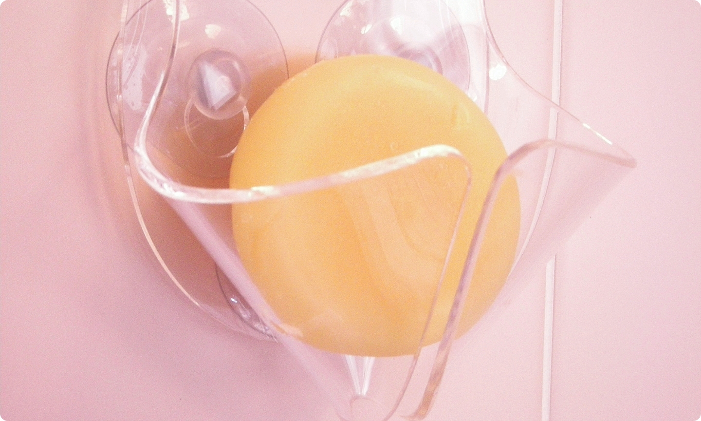 石鹸置き