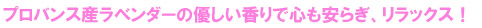 プロバンス産ラベンダーの優しい香りで心も安らぎ、リラックス！