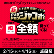 オーガニック化粧品コールドプロセス石鹸手作り無添加石鹸アンティアンシャンプーバー2302paypayバナー