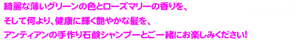 ローズマリーの香り、健康に輝く艶やかな髪を、石鹸シャンプーとご一緒に！