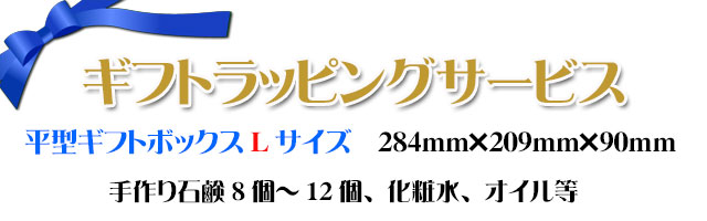 アンティアンのラッピングサービストップ長型